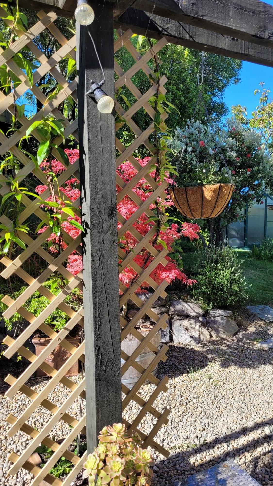 Hazelwood Mapua Bed & Breakfast Bagian luar foto