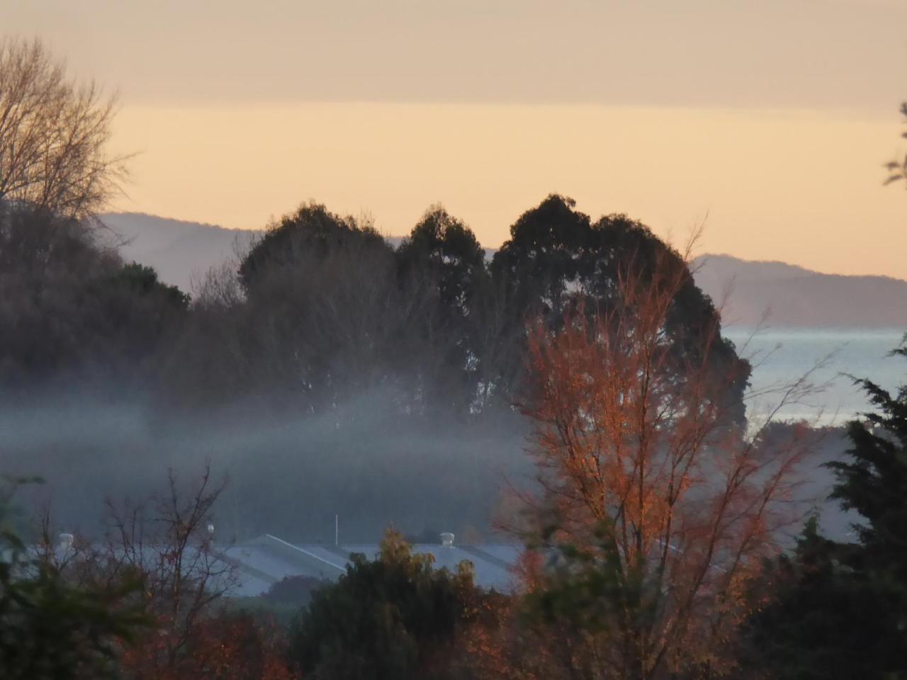 Hazelwood Mapua Bed & Breakfast Bagian luar foto